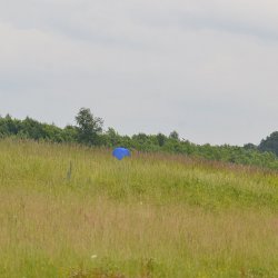 2013 Suche 29062013 Michal